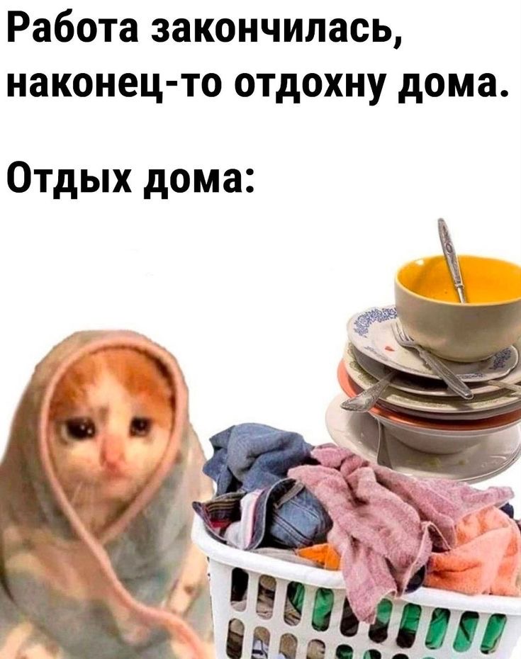 IMG_0140.jpeg