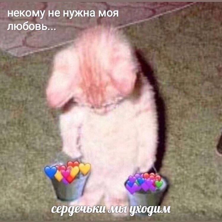 IMG_0159.jpeg