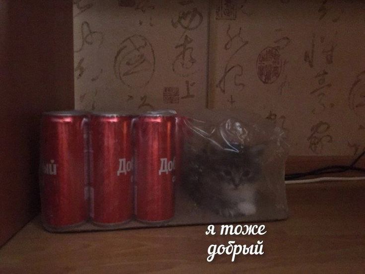 IMG_0177.jpeg