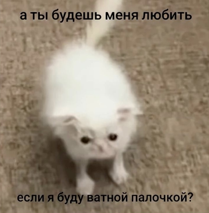 IMG_0207.jpeg