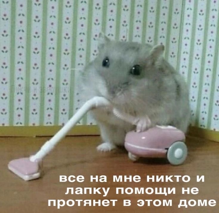 IMG_0244.jpeg