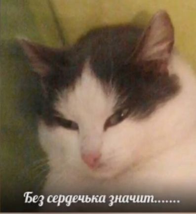 IMG_0294.jpeg