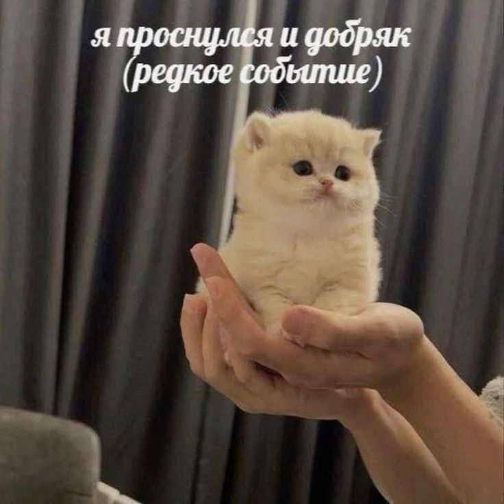 IMG_0322.jpeg