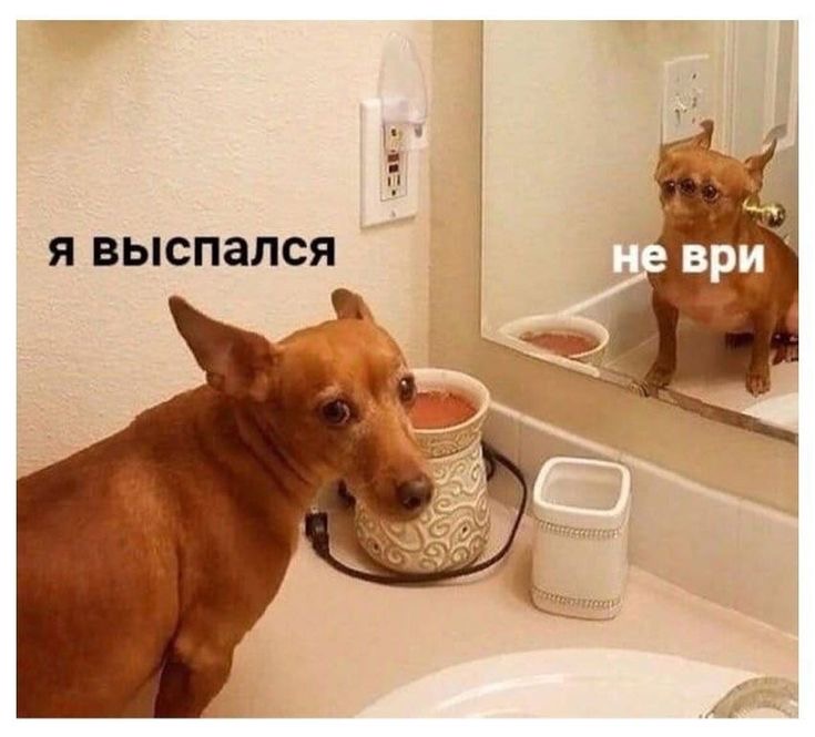 IMG_0331.jpeg