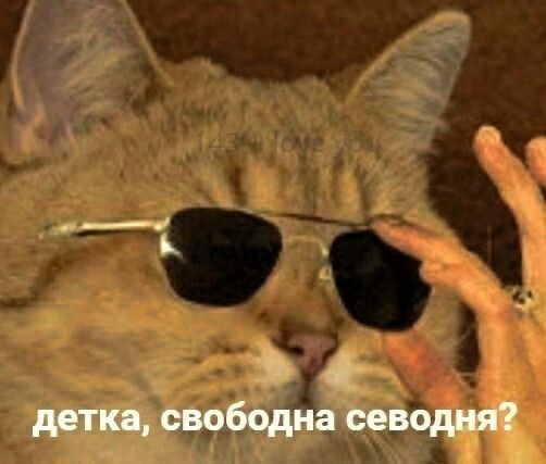 IMG_0350.jpeg