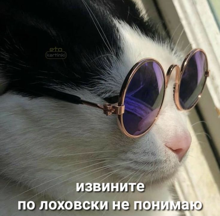 IMG_0351.jpeg