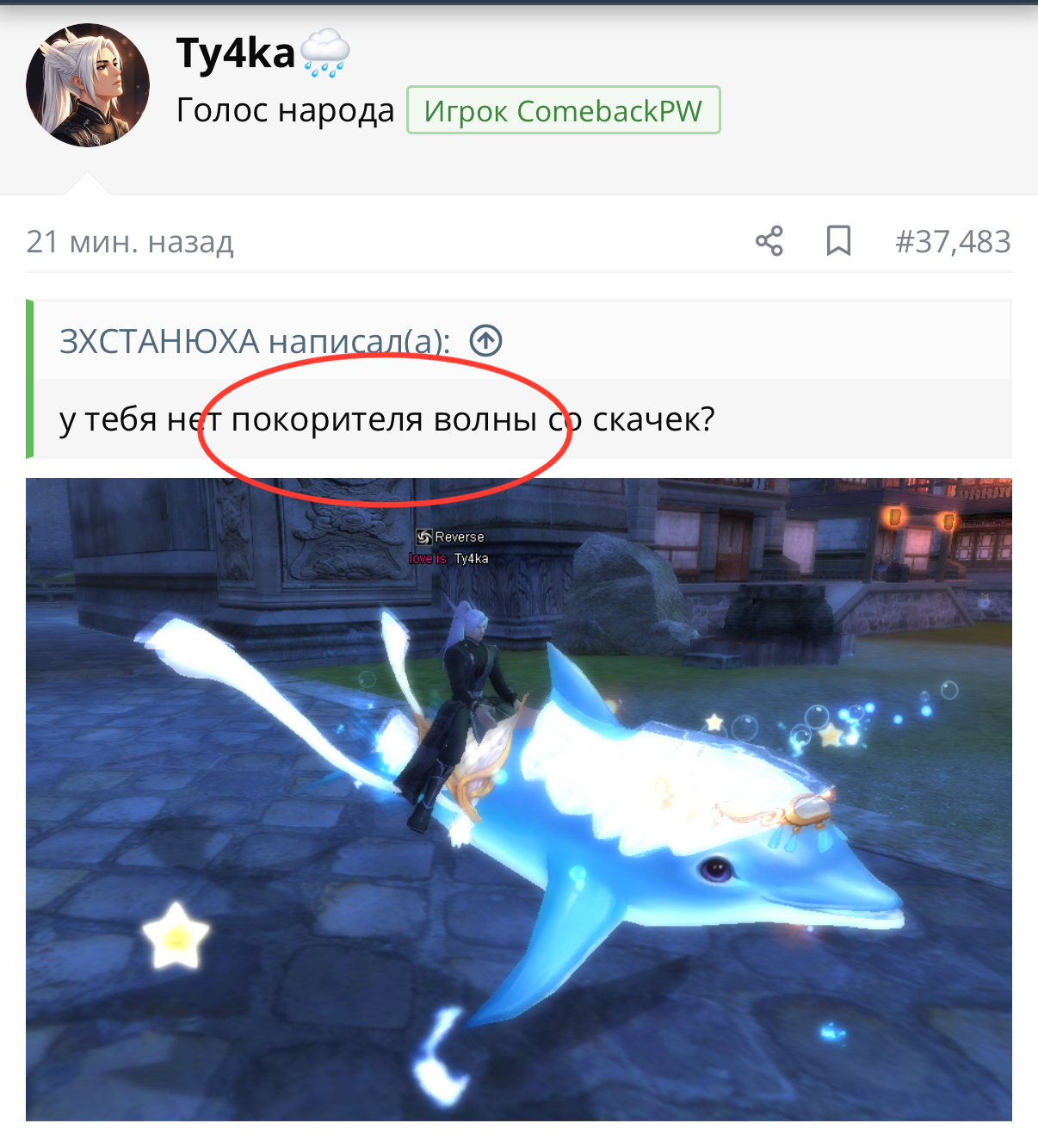 IMG_0352.jpeg
