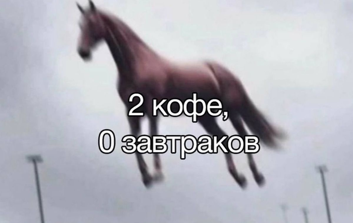 IMG_0399.jpeg