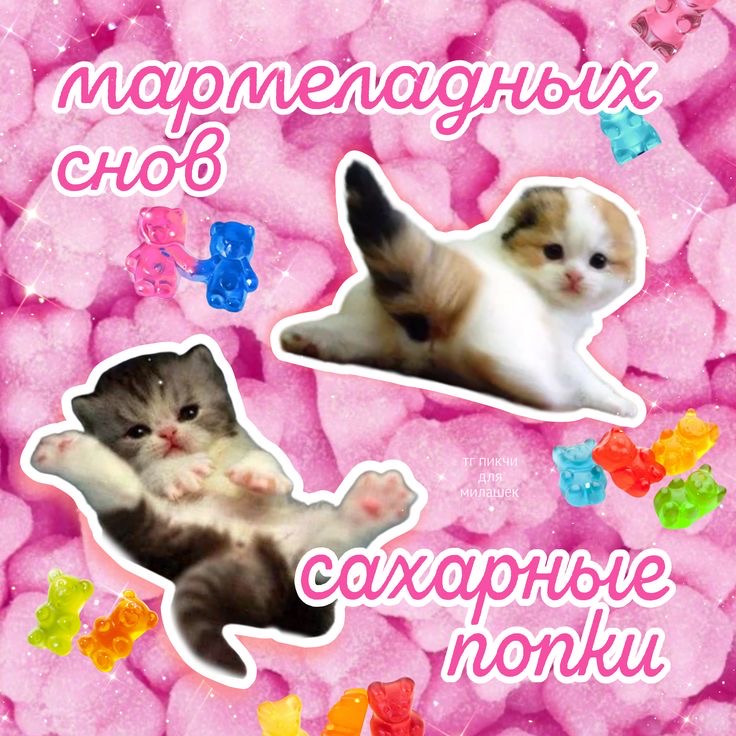 IMG_0405.jpeg