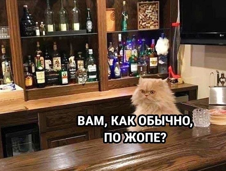 IMG_0451.jpeg