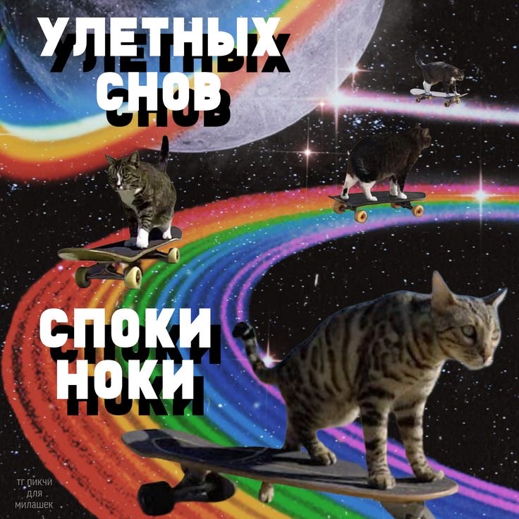IMG_0455.jpeg