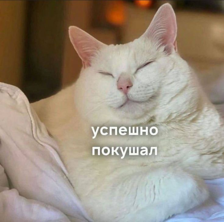 IMG_0456.jpeg