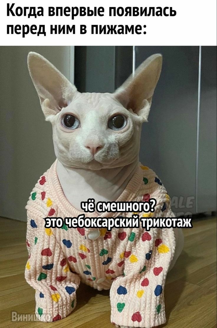 IMG_0487.jpeg