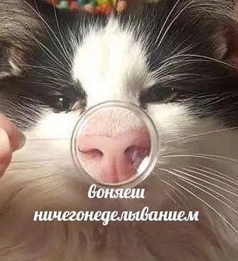 IMG_0488.jpeg