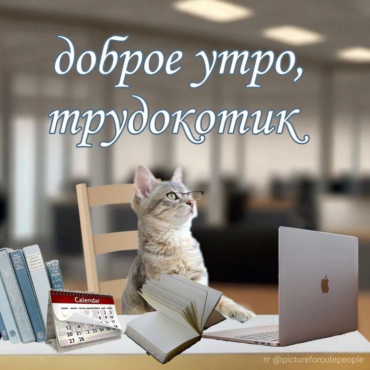 IMG_0492.jpeg