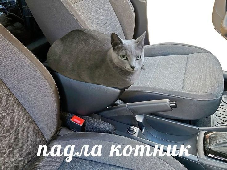 IMG_0498.jpeg