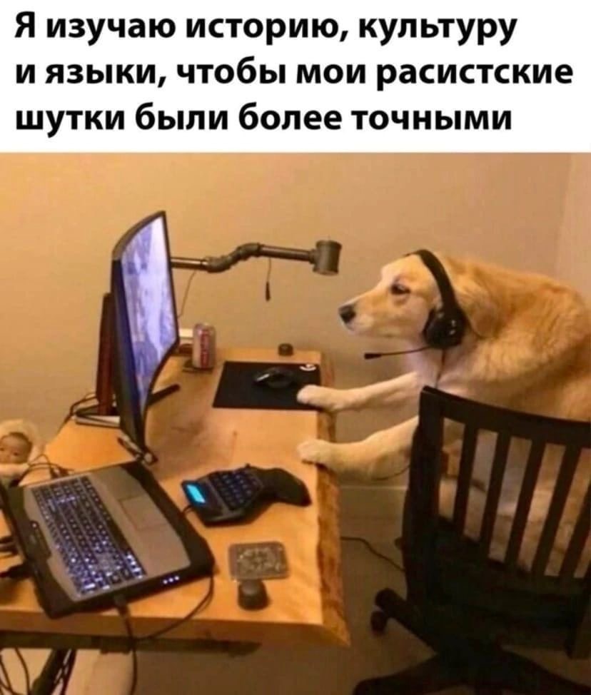 IMG_0515.jpeg