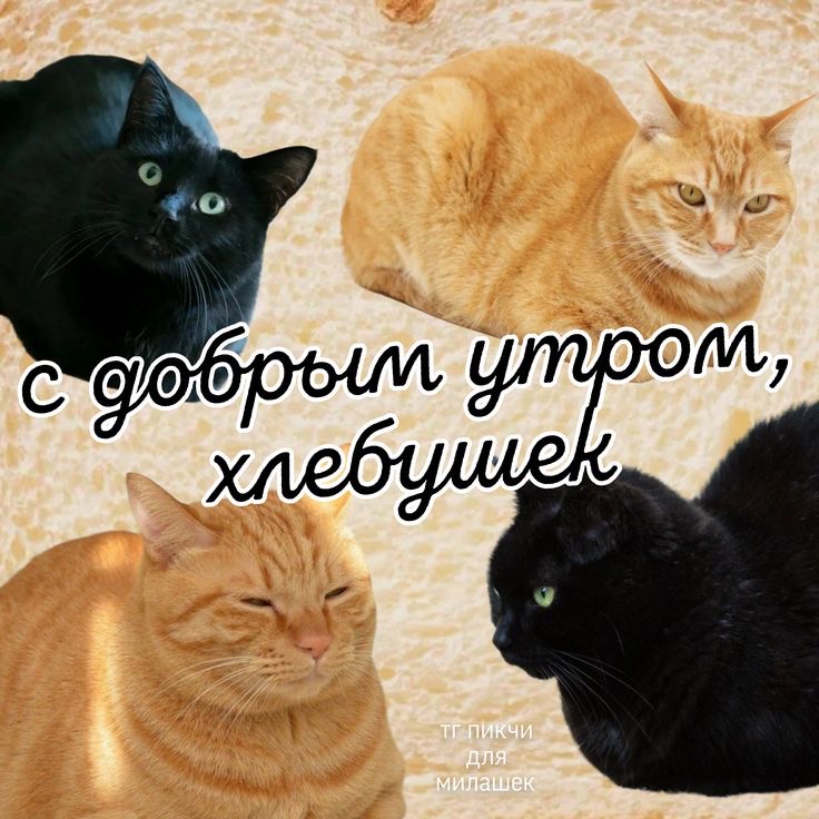 IMG_0521.jpeg