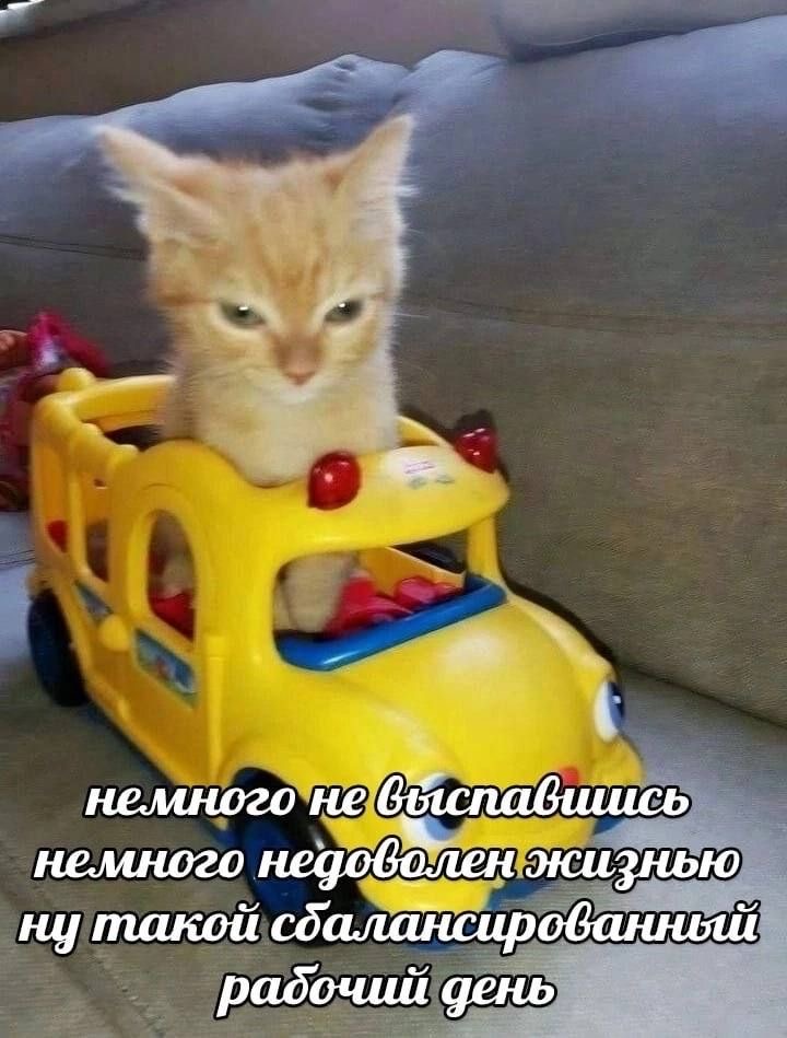 IMG_0537.jpeg
