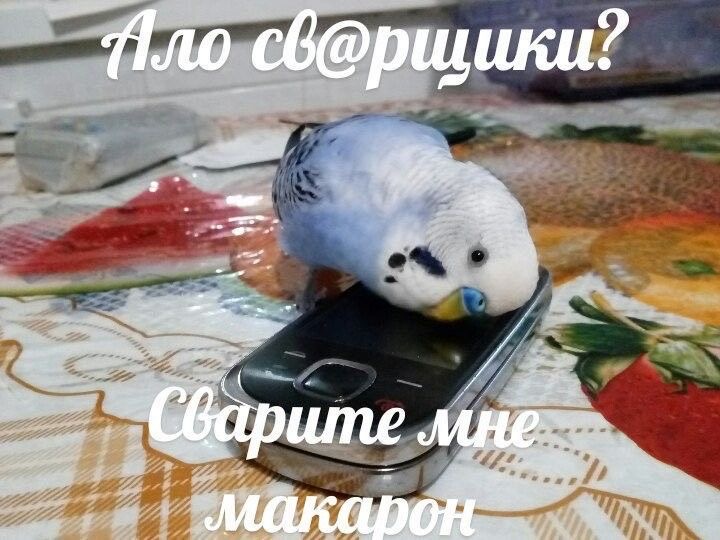 IMG_0564.jpeg