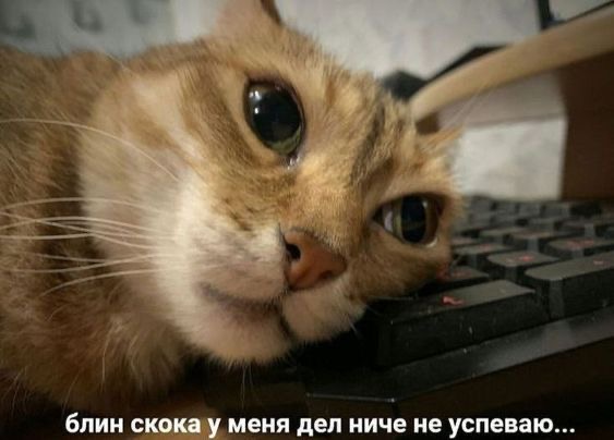 IMG_0567.jpeg