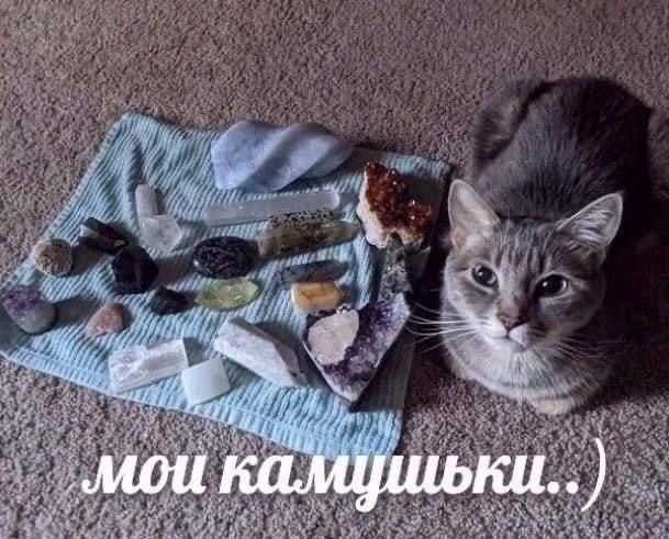 IMG_0651.jpeg