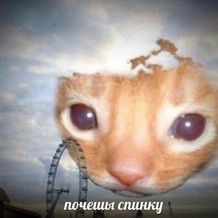 IMG_0687.jpeg
