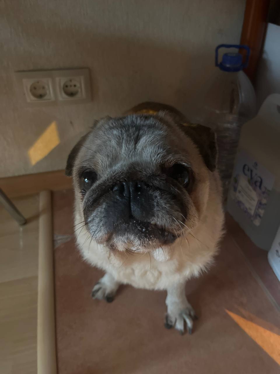 IMG_0761.jpeg