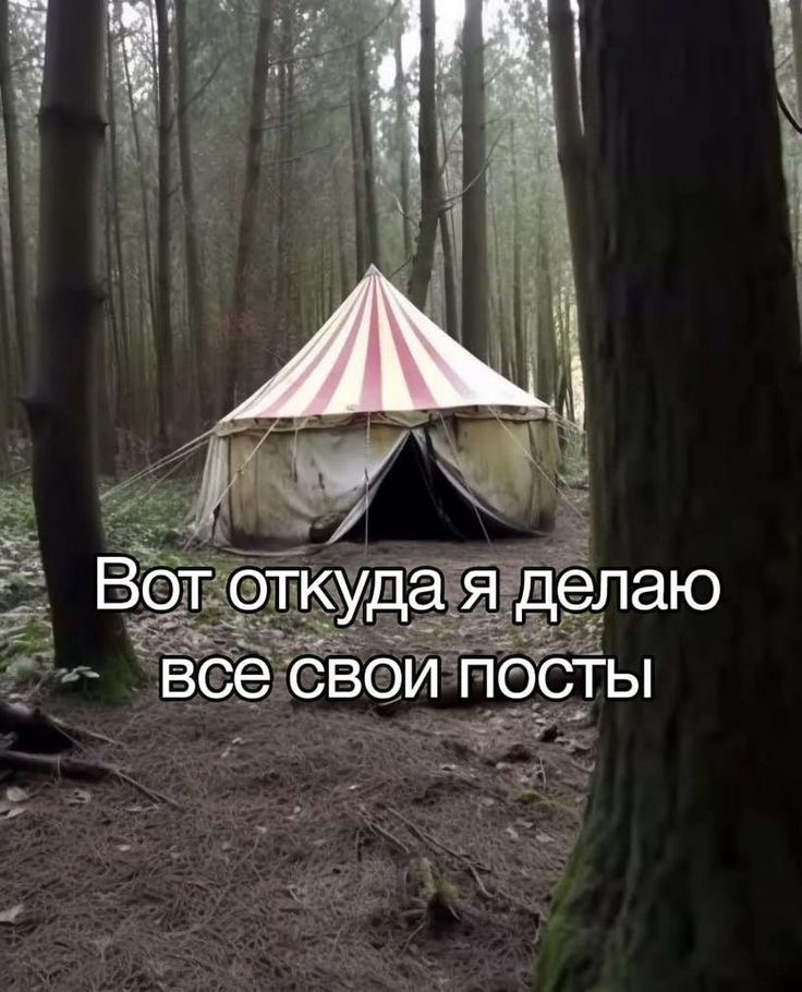 IMG_0895.jpeg