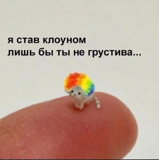IMG_0906.jpeg