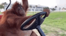 IMG_0908.gif