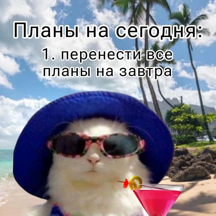 IMG_0958.jpeg