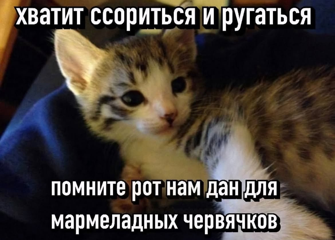 IMG_1009.jpeg