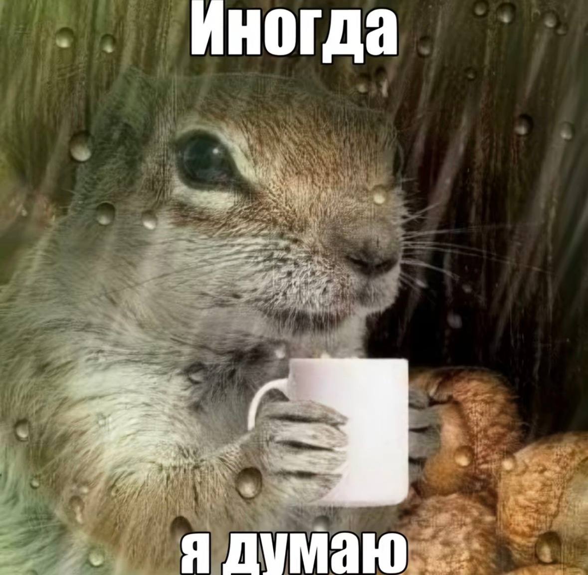 IMG_1177.jpeg