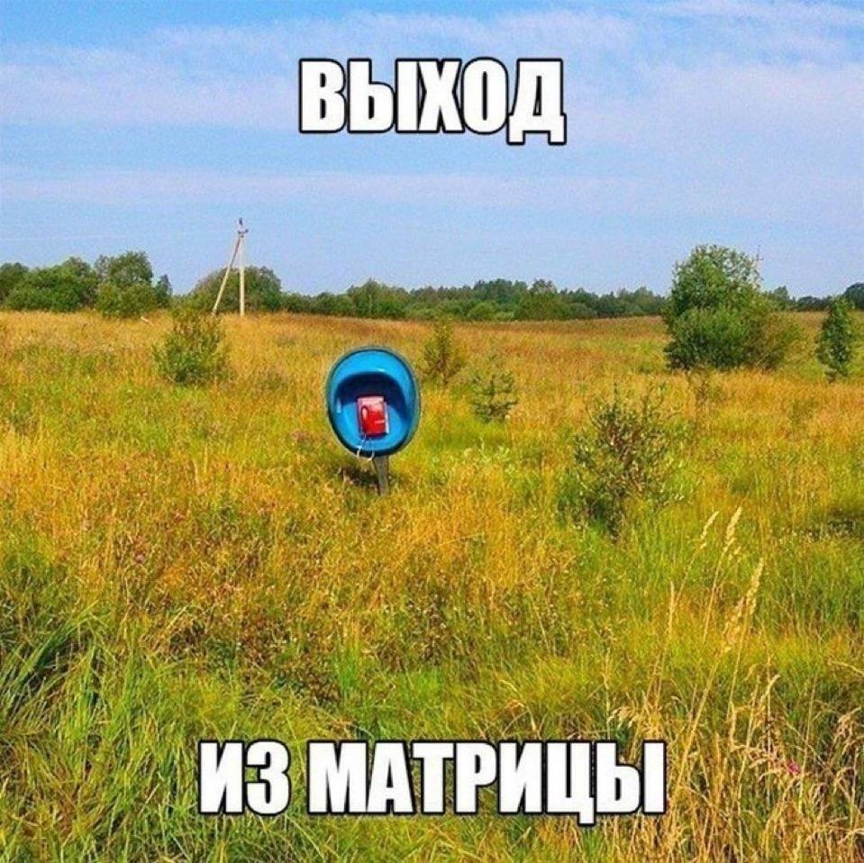 IMG_1181.jpeg