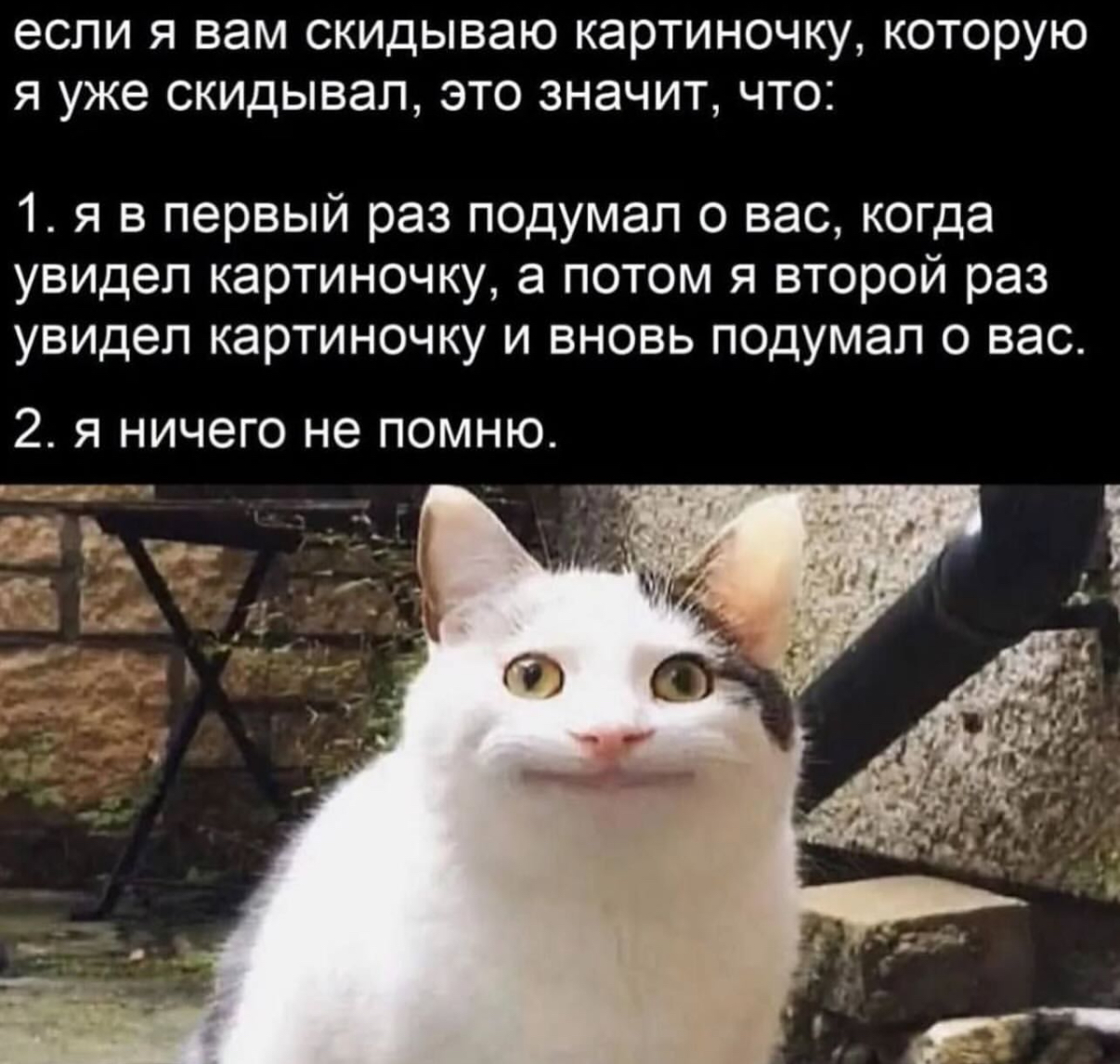 IMG_1262.jpeg