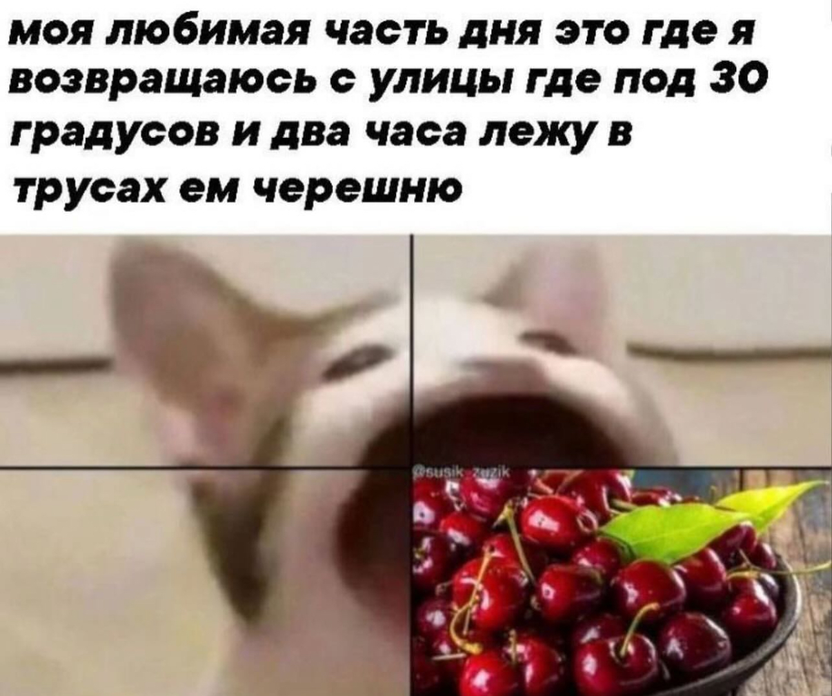 IMG_1263.jpeg