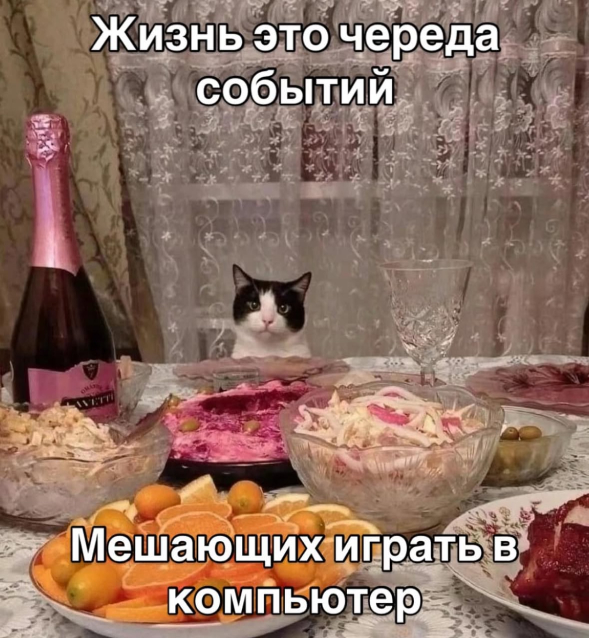 IMG_1265.jpeg