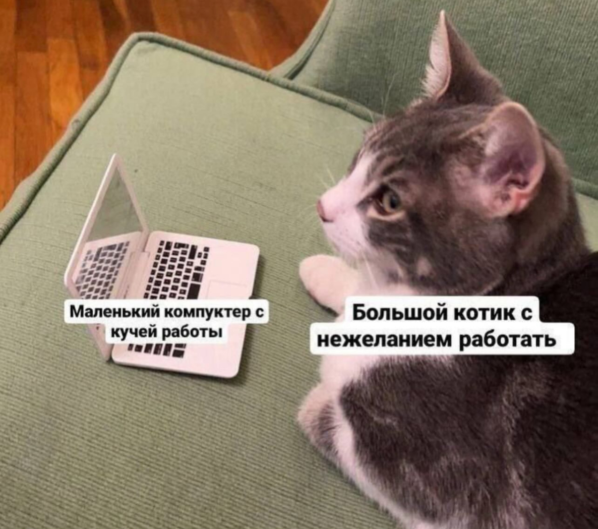IMG_1272.jpeg