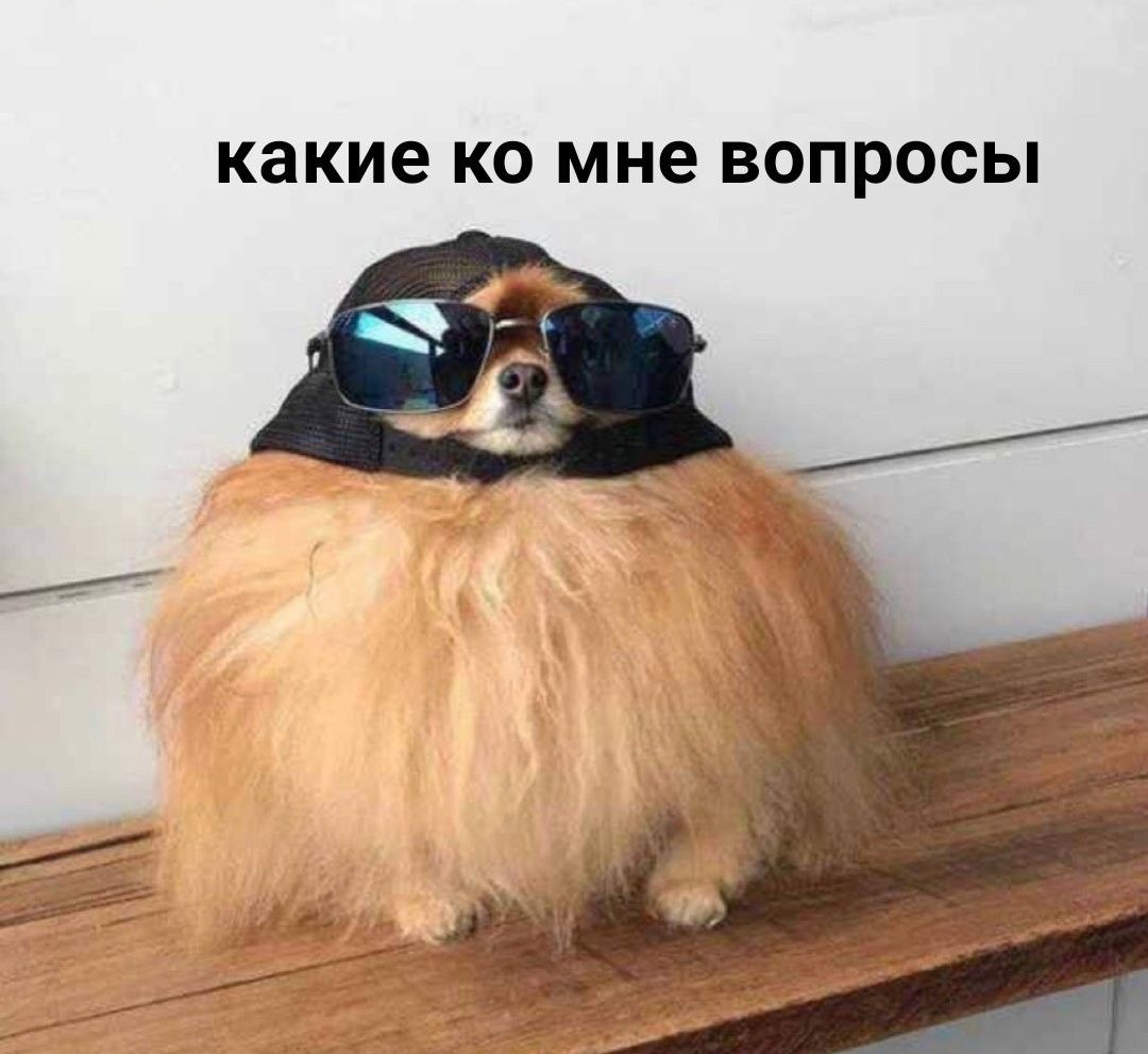 IMG_1311.jpeg