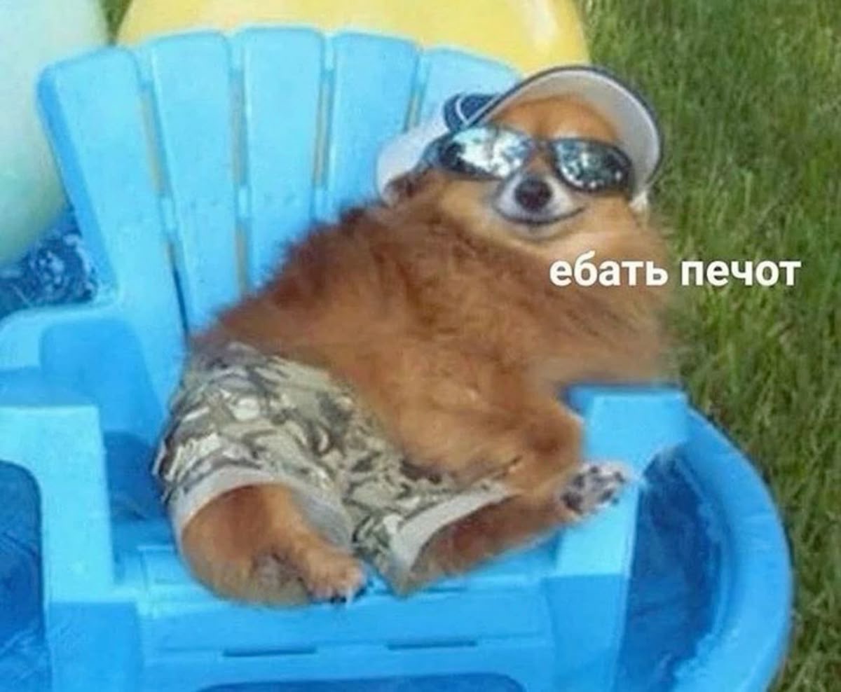 IMG_1312.jpeg