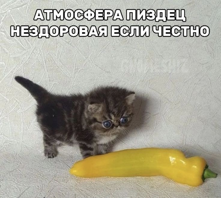 IMG_1315.jpeg
