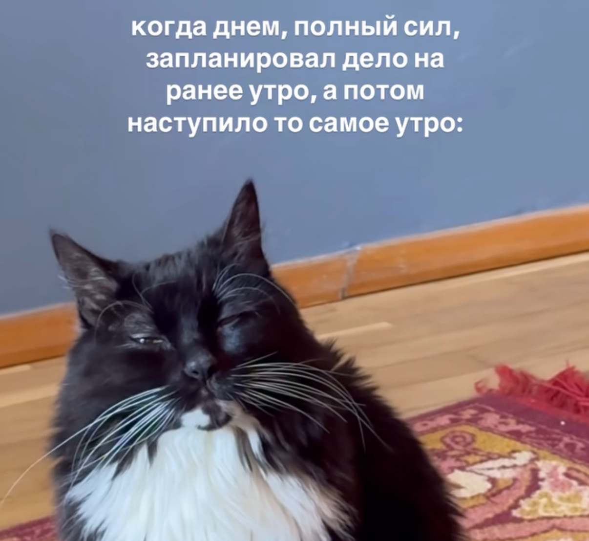 IMG_1327.jpeg
