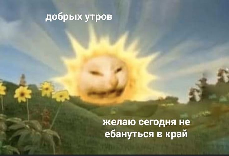IMG_1469.jpeg