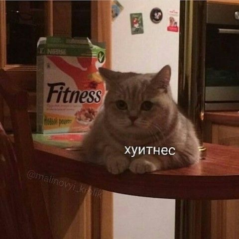 IMG_1500.jpeg