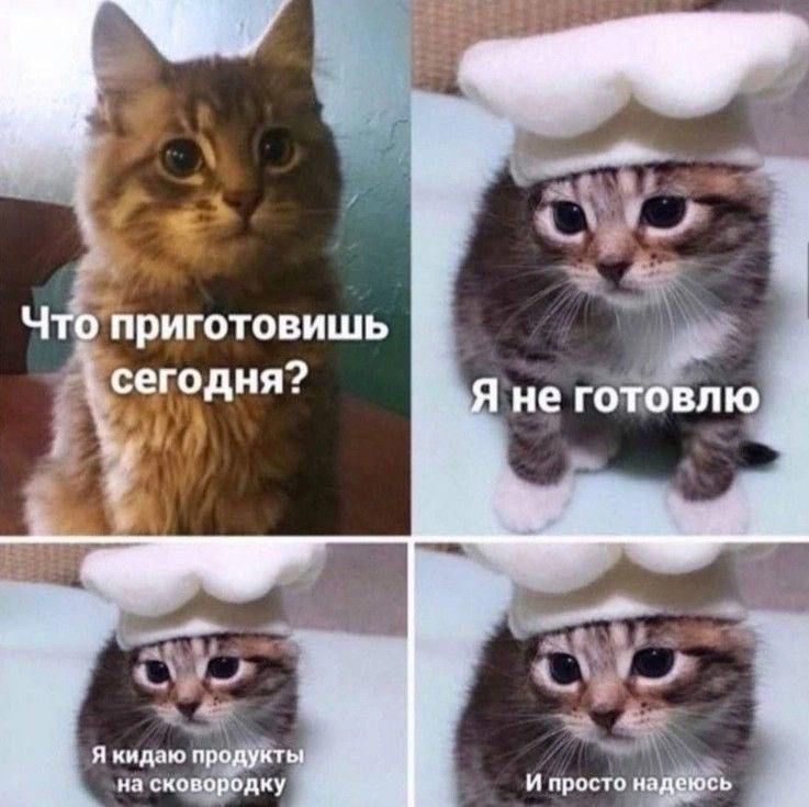 IMG_1522.jpeg
