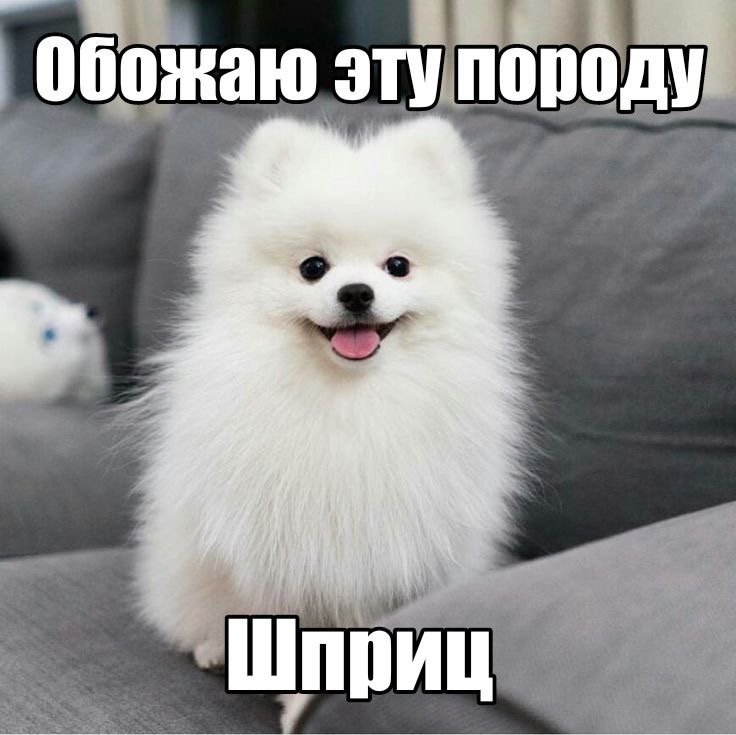 IMG_1523.jpeg