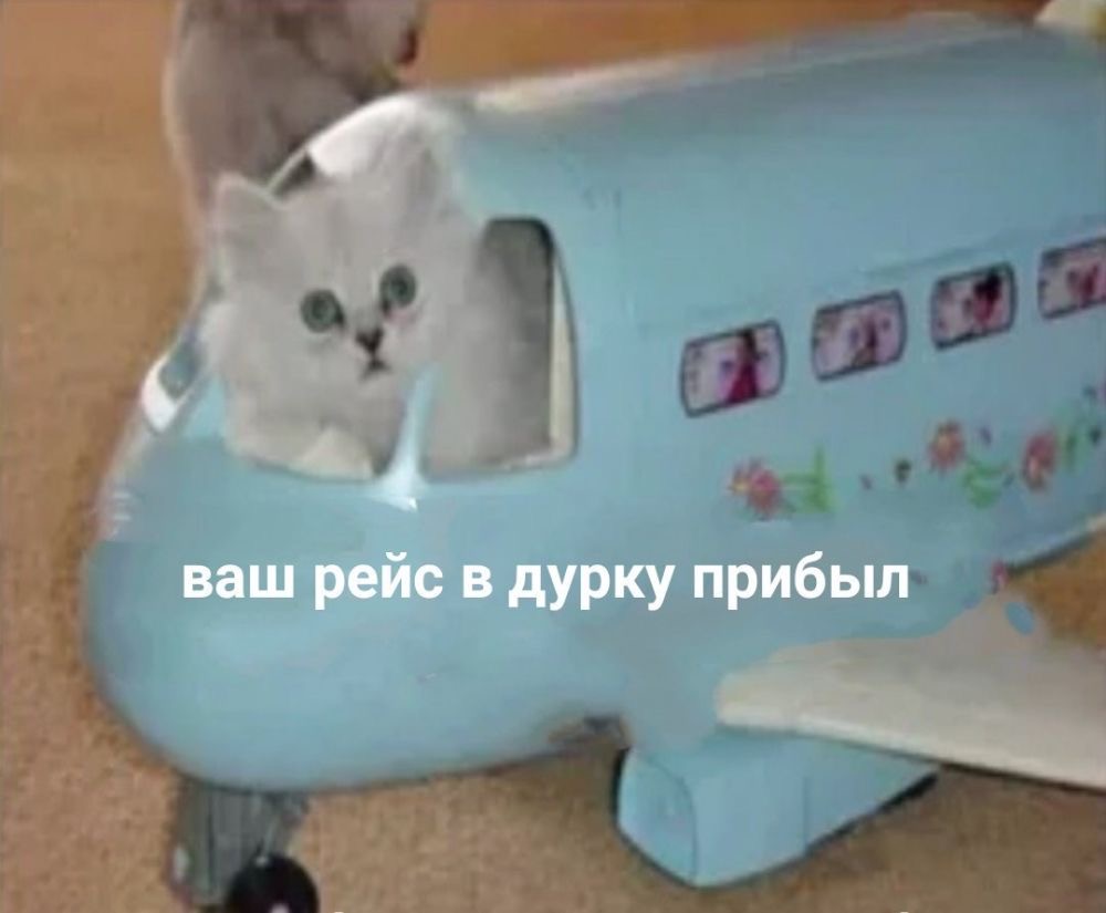 IMG_1562.jpeg