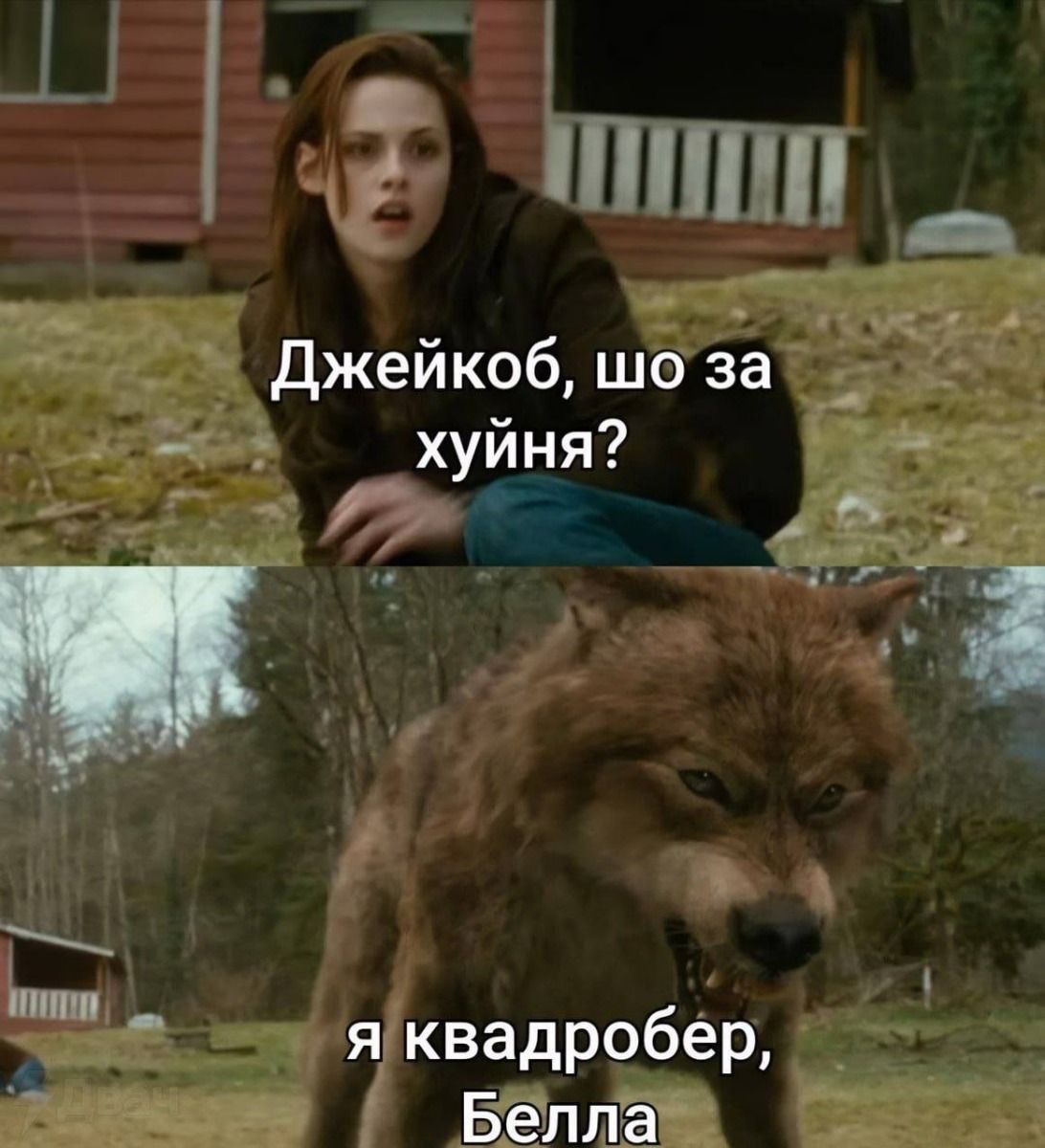 IMG_1568.jpeg