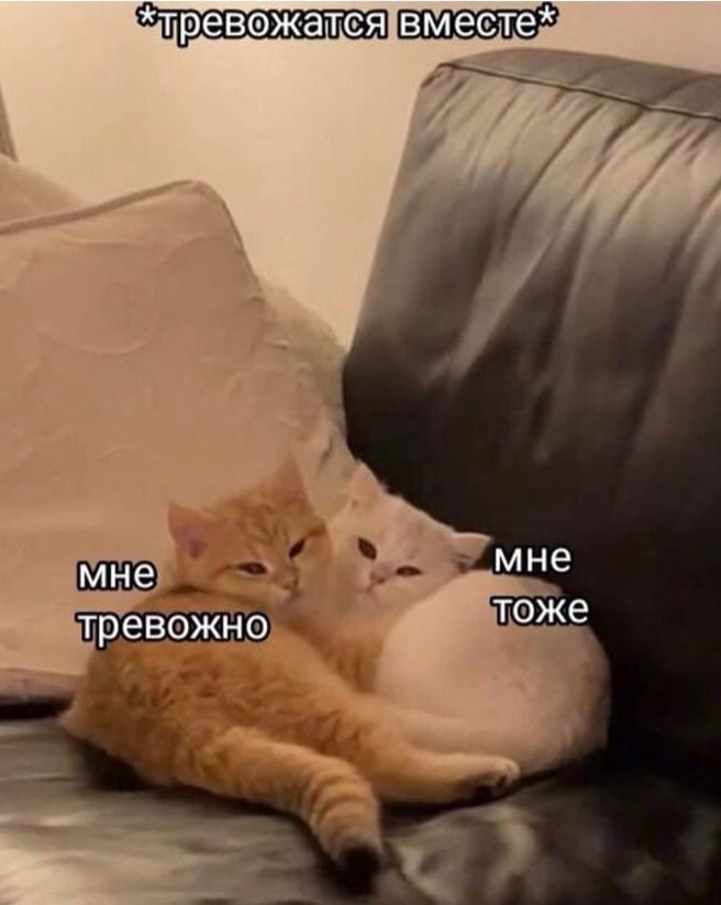 IMG_1576.jpeg